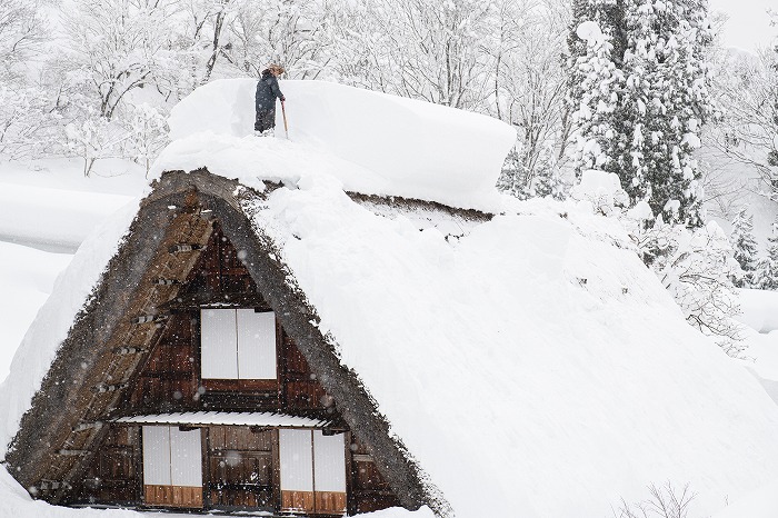 Snow and Shirakawa-go